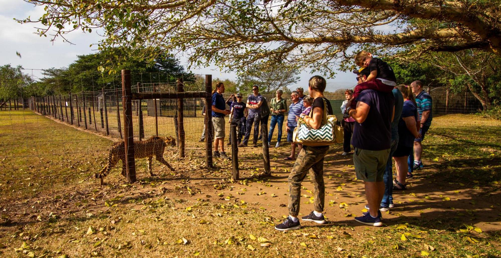 Emdoneni Lodge With Zululand Cat Conservation Project Hluhluwe Extérieur photo